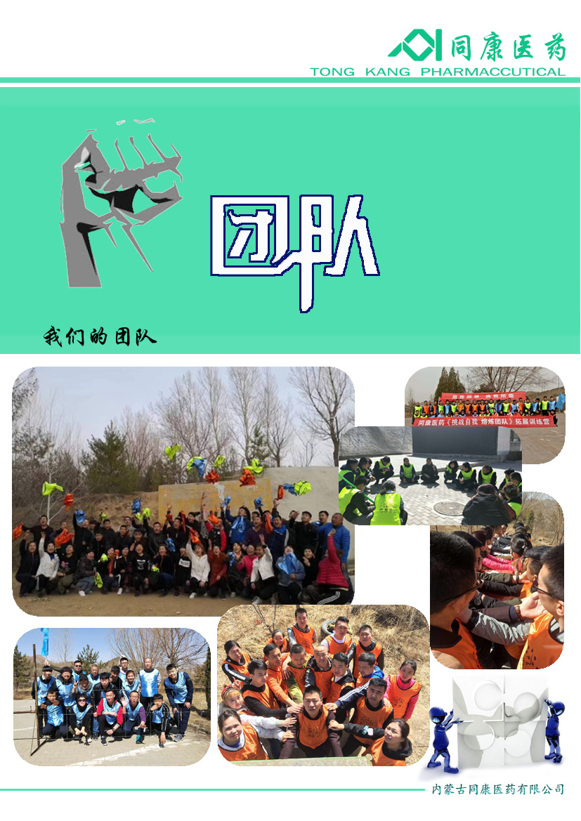 8.团队.jpg